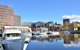 Hobart Shore Excursion: Scenic Highlights Tour - thumb 6