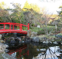 Small-group tour from Hobart Native Flora and Fauna incl. Royal Bot. Gardens - Attractions Brisbane