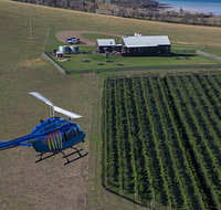 Bangor Vineyard Shed Helicopter Tour - Attractions Brisbane