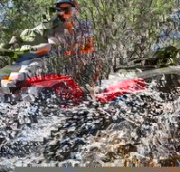 Quad Bike 2-Hour Adventure Freycinet National Park - Attractions Brisbane