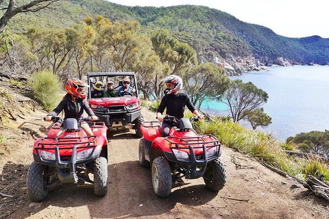Quad Bike 2-Hour Adventure: Freycinet National Park - Attractions Brisbane 2