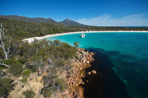 Wineglass Bay Cruise From Coles Bay - Attractions Brisbane 5