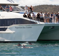 The Peppermint Bay Lunch Cruise from Hobart - Attractions Brisbane