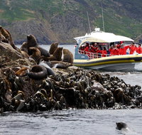 3-Hour Bruny Island Cruise from Adventure Bay - Attractions Brisbane