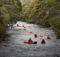 Meander Wilderness Experiences - Attractions Brisbane