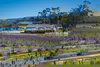 Private Tasman Peninsula Cruise Ship Tour from Port Arthur