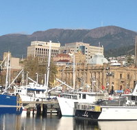 Private Mt Wellington Richmond Bonorong Wildlife Sanctuary Tour from Hobart - Attractions Brisbane