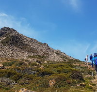Hartz Peak Hiking Tour - Hartz Mountains National Park - Attractions Brisbane