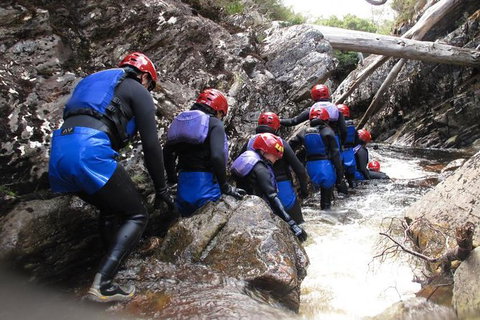 Half Day Cradle Mountain Canyoning: Lost World Canyon - Attractions Brisbane 1