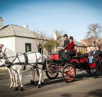 Trot Through Time - Attractions Brisbane