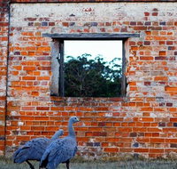 Private Maria Island Hiking tour with Gourmet Lunch - Attractions Brisbane