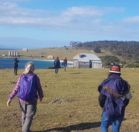 4-Day Hobart Adventure Tour Maria Island Cape Raoul Mount Field Cape Hauy - Attractions Brisbane