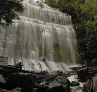 Guided Shore Excursion Mt Field National Park Salmon Ponds Bonorong Wildlife - Attractions Brisbane