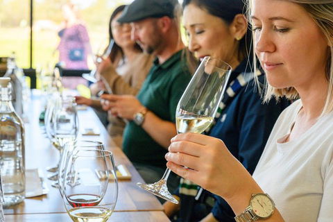 Barossa Valley Food And Wine Tour - Attractions Brisbane 11