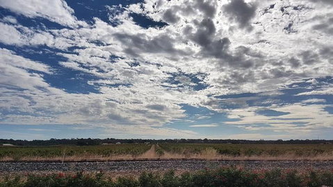 Barossa Valley Full-Day Tour From Adelaide With Maggie Beer Farm - Attractions Brisbane 3