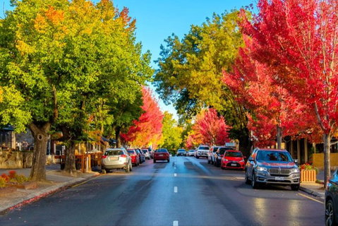 Barossa Valley Full-Day Tour From Adelaide With Maggie Beer Farm - Attractions Brisbane 6