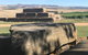 Barossa Valley Full-Day Tour From Adelaide With Maggie Beer Farm - thumb 16