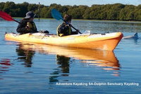 Adelaide Dolphin Sanctuary and Ships Graveyard Kayak Tour