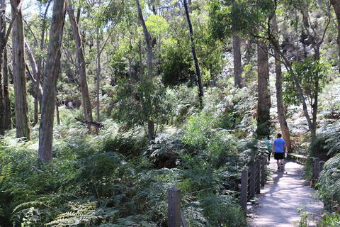Self-Guided Waterfall Gully To Mount Lofty Hike From Adelaide - Attractions Brisbane 0