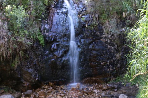 Self-Guided Waterfall Gully To Mount Lofty Hike From Adelaide - Attractions Brisbane 2