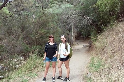 Self-Guided Waterfall Gully To Mount Lofty Hike From Adelaide - Attractions Brisbane 4