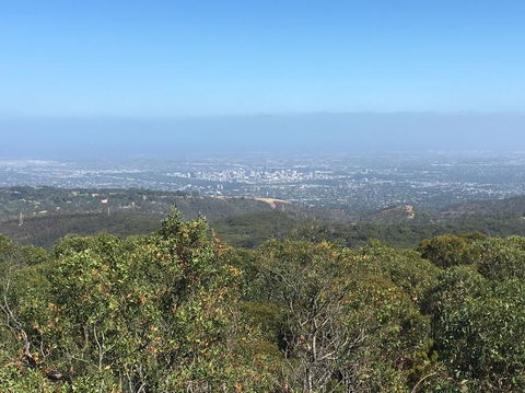Adelaide Hills And Hahndorf Tour From Adelaide With Wine And Cheese Tasting - Attractions Brisbane 8