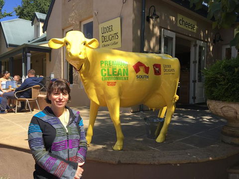 Adelaide Hills And Hahndorf Tour From Adelaide With Wine And Cheese Tasting - Attractions Brisbane 2