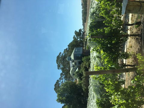 Adelaide Hills And Hahndorf Tour From Adelaide With Wine And Cheese Tasting - Attractions Brisbane 7