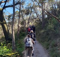 Mount Lofty Hike and Cleland Wildlife Park Day Trip from Adelaide - Attractions Brisbane
