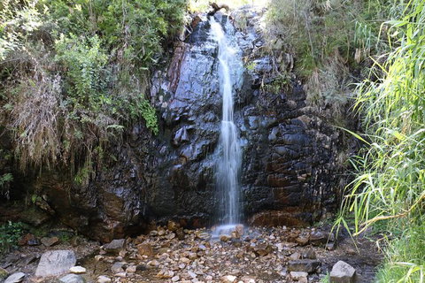 Mount Lofty Hike And Cleland Wildlife Park Day Trip From Adelaide - Attractions Brisbane 7