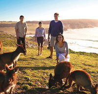 5-Day Adelaide and Kangaroo Island Tour Including Barossa Valley Wine Tasting - Attractions Brisbane