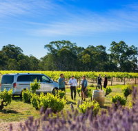 Micro-Group Barossa Valley Wine Tour from Adelaide - Attractions Brisbane