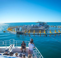 2 Hour Aquarium Tour - Attractions Brisbane