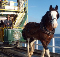 Full-Day Tour in South Australia Highlights - Attractions Brisbane