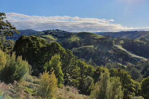 3-Day Adelaide To Melbourne Tour Including The Great Ocean Road - Attractions Brisbane 7