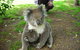 3-Day Adelaide To Melbourne Tour Including The Great Ocean Road - thumb 8