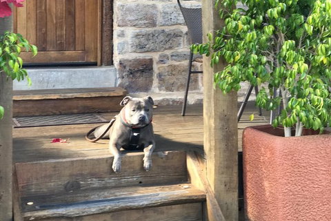 Barossa Private Group 1-13 Tour To Barossa Valley Or McLaren Vale From Adelaide - Attractions Brisbane 39