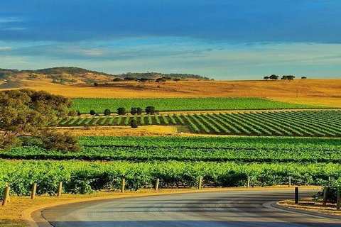 Barossa Private Group 1-13 Tour To Barossa Valley Or McLaren Vale From Adelaide - Attractions Brisbane 37