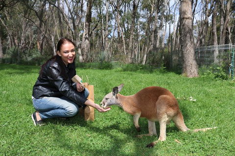 Cleland Wildlife Park Tour From Adelaide Including Mount Lofty Summit - Attractions Brisbane 1