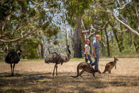 Cleland Wildlife Park Tour From Adelaide Including Mount Lofty Summit - Attractions Brisbane 5