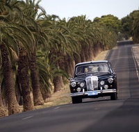 Private Barossa Valley Winery Tour by Classic 1962 Daimler from the Barossa Valley - Attractions Brisbane