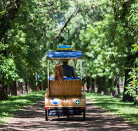 Adelaide 90-Minute Pedicab Tour Scenic Green  River Experience - Attractions Brisbane