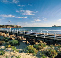 Victor Harbor and Southern Highlights from Adelaide Including Lunch - Attractions Brisbane