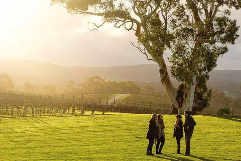 Full-Day Hahndorf And Adelaide Hills Hop-On Hop-Off Tour From Adelaide - Attractions Brisbane 4