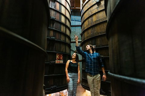 A Day Of Decadence At D'Arenberg - Attractions Brisbane 1