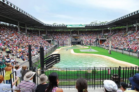 Croc Express To Australia Zoo From Brisbane - Attractions Brisbane 12