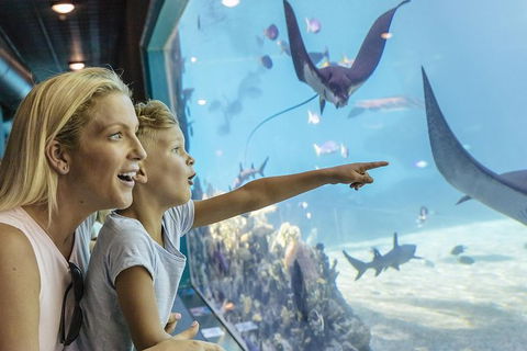 Gold Coast Theme Park Pass: Warner Bros. Movie World, Sea World And Wet'n'Wild - Attractions Brisbane 1