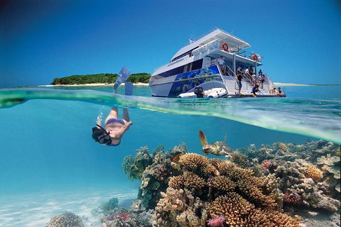 3-Day Southern Great Barrier Reef Tour Including Lady Musgrave Island - Attractions Brisbane 0