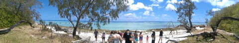 3-Day Southern Great Barrier Reef Tour Including Lady Musgrave Island - Attractions Brisbane 3