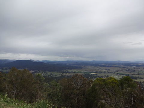 Springbrook AndTamborine Rainforest Tour Incl Natural Bridge And Glow Worm Cave - Attractions Brisbane 7